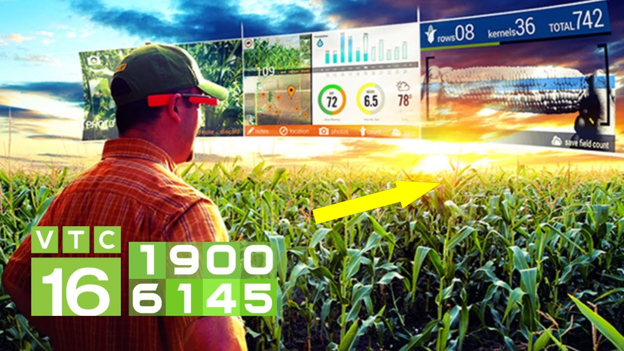 Альтернативы John Deere: российские платформы для управления сельским хозяйством