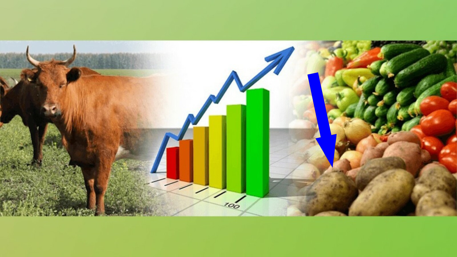 Российские фермеры на пути к самодостаточности