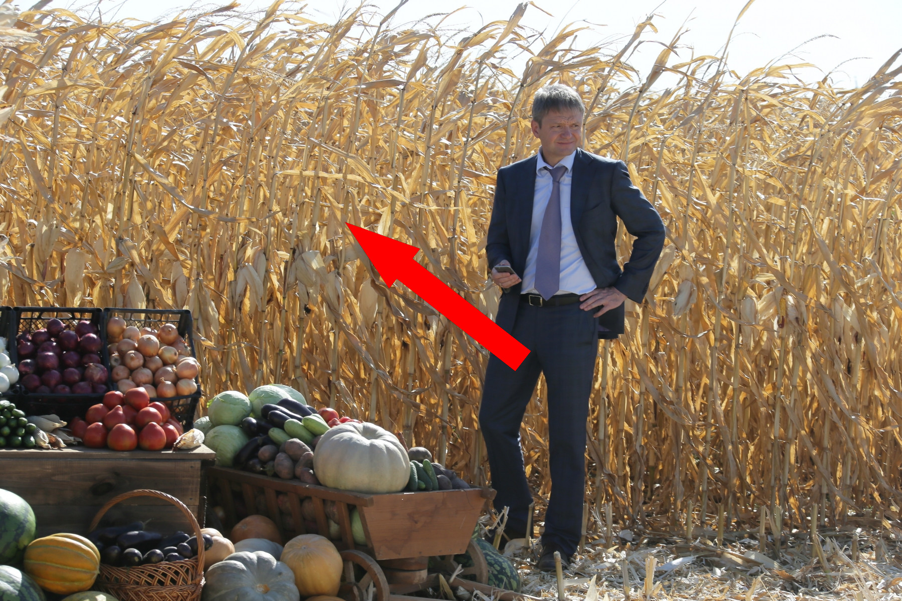 Российские фермеры на пути к успеху в замещении импорта