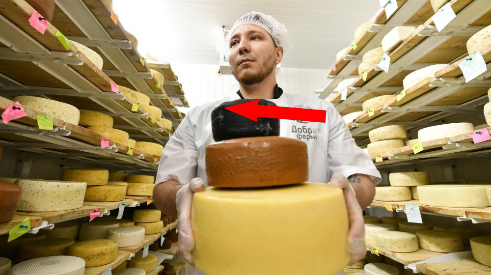 Сырная сказка местной сыроварни